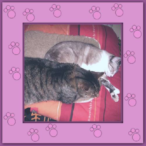 Nane & Gandalf