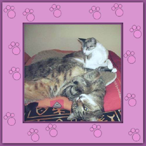 Nane & Gandalf