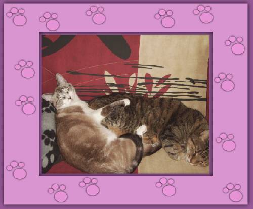 Nane & Gandalf