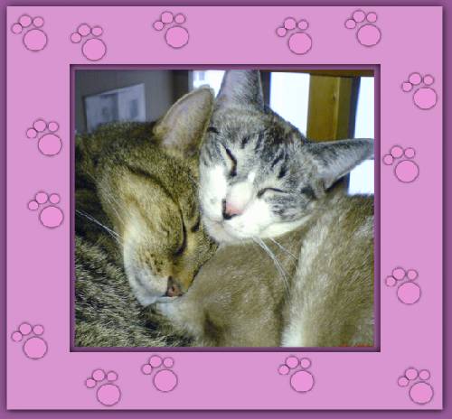 Nane & Gandalf