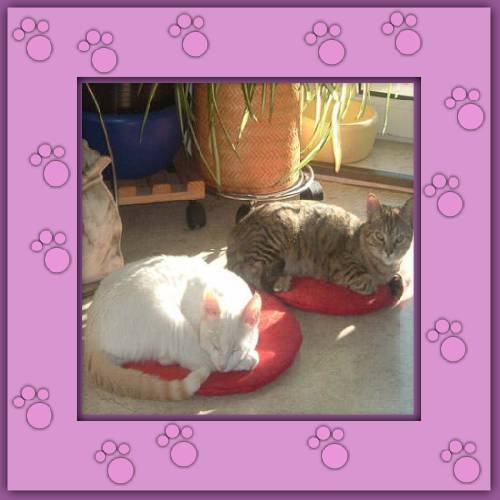 Nicky & Lupi