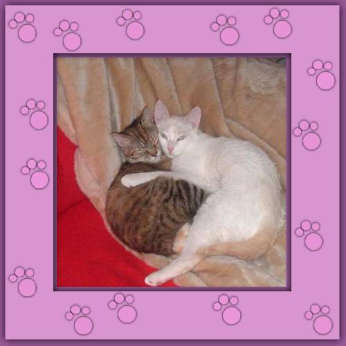 Nicky & Lupi