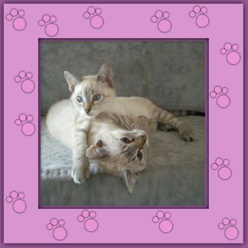 Nube & Osito
