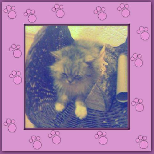 Oliver