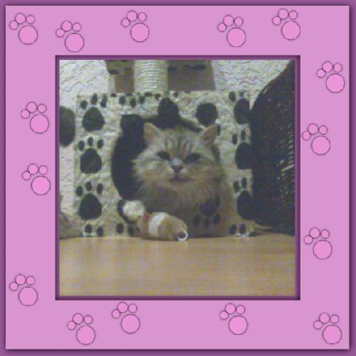 Oliver