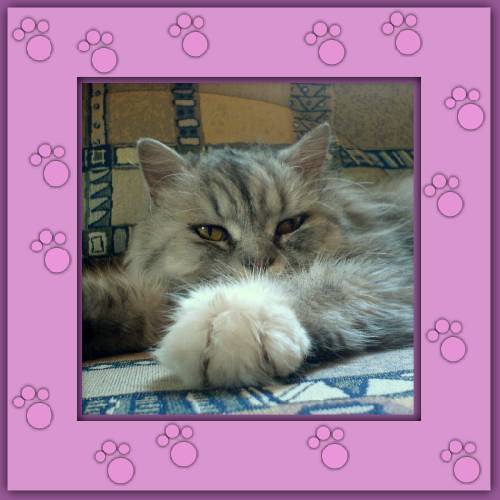 Oliver