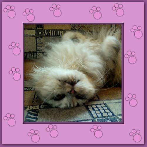 Oliver