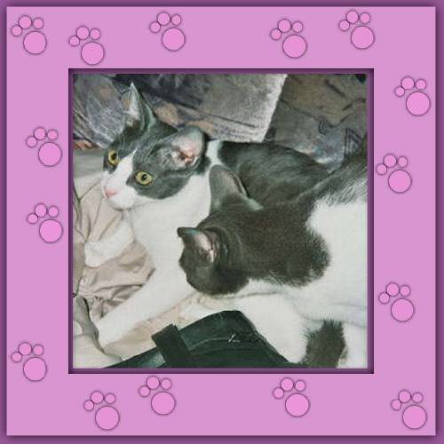Cleo & Cesar
