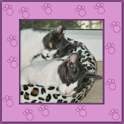 Cleo & Cesar