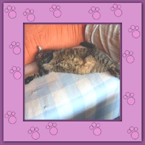 Benni