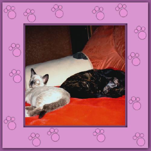Püppi & Luna