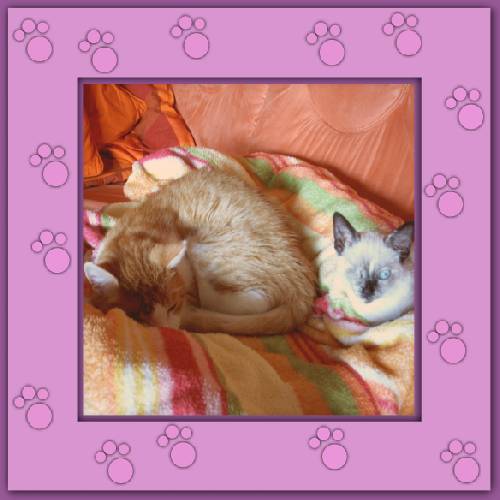 Baby & Luna