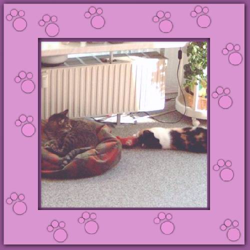 Vicky & Ronja