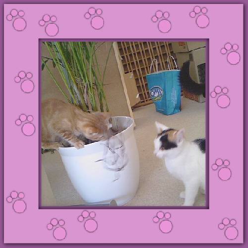 Rubita & Faye