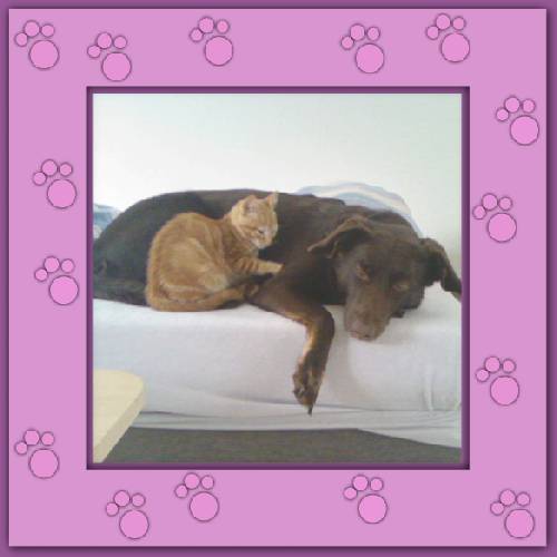 Rubita & Kola