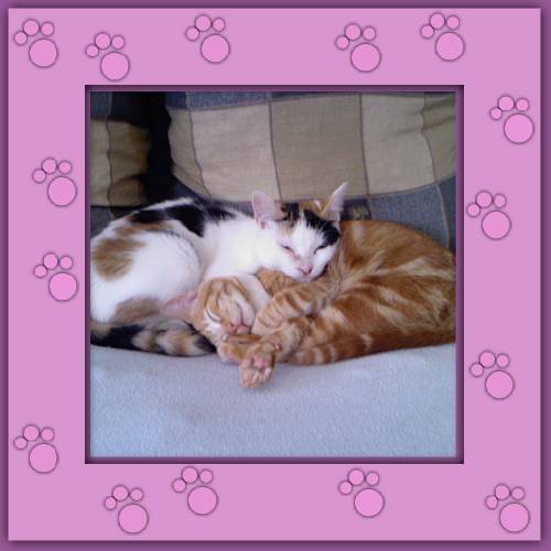 Rubita & Faye