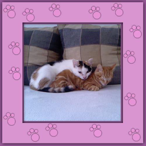 Rubita & Faye