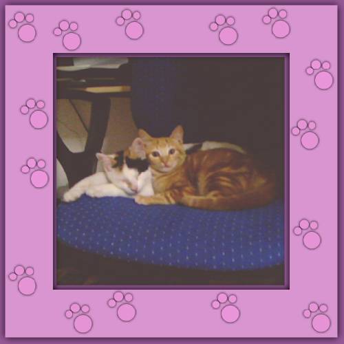 Rubita & Faye