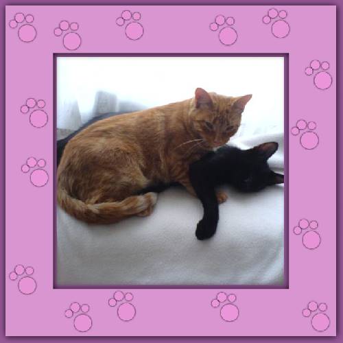 Rubita & Fiero