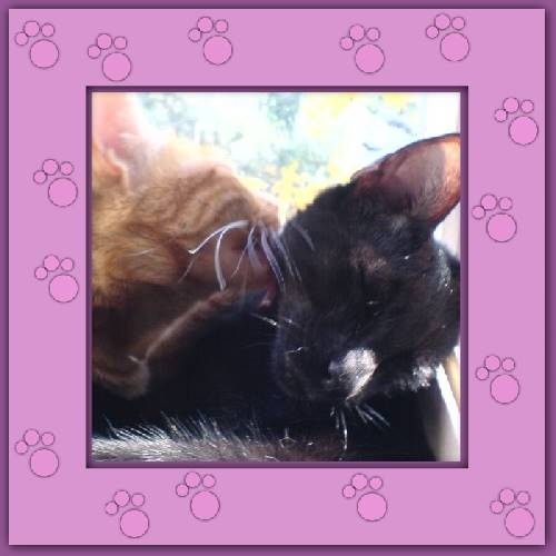 Rubita & Fiero