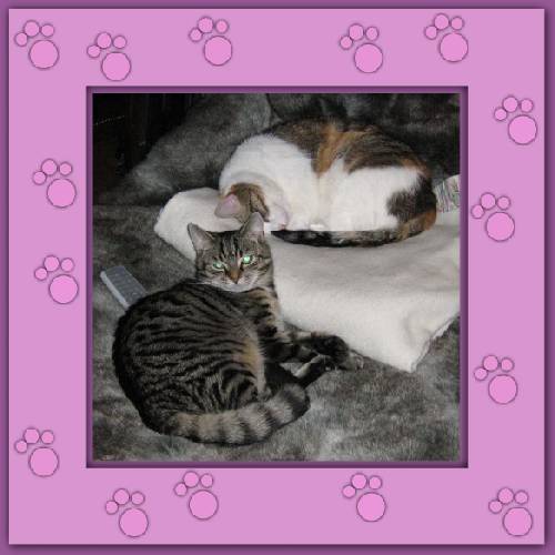 Gismo & Samira