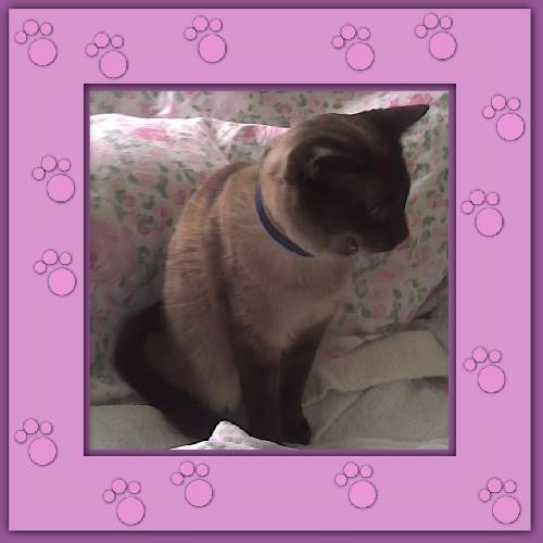 Samson