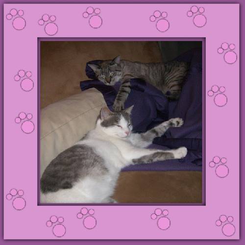 Sanya, Niebla & Jimmy 