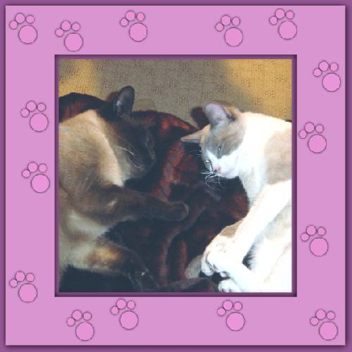 Sid & Mogli