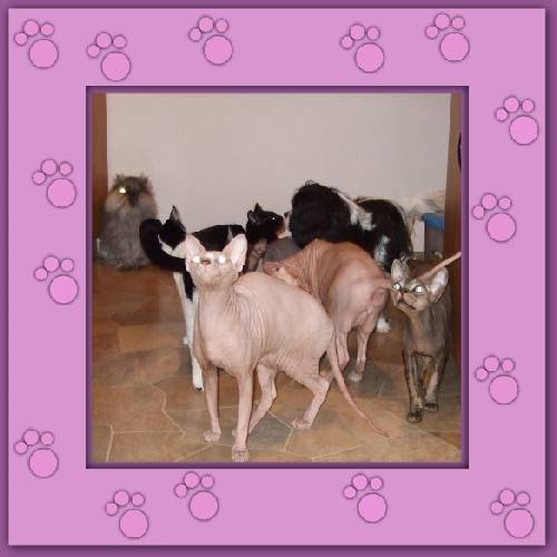 Shania & Sissys Freunde