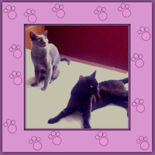 Eddy & Lynes