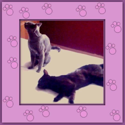 Eddy & Lynes