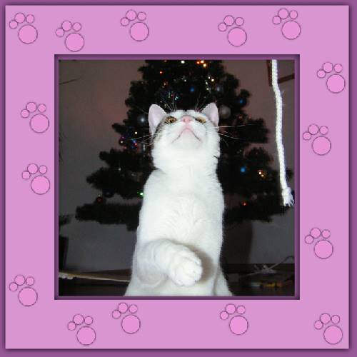Suko
