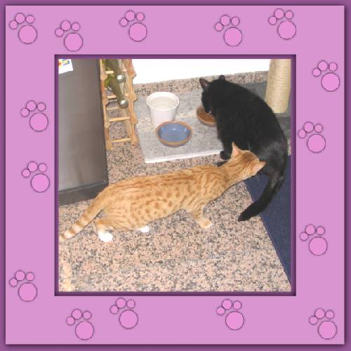 Sweety & Dickie