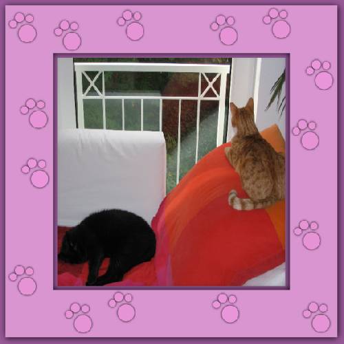 Sweety & Dickie