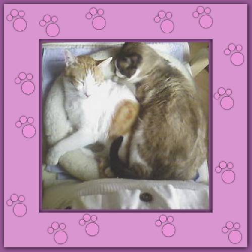 Thomas & Billy