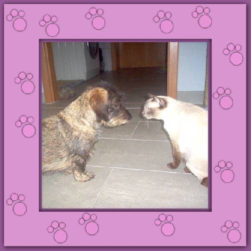 Timote, Coco & Loana