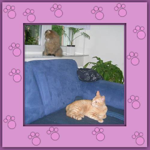 Tito & Püppy