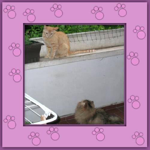 Tito & Püppy