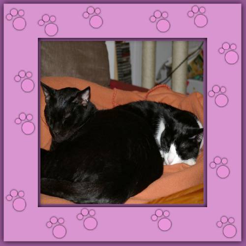 Yaki & Ramon