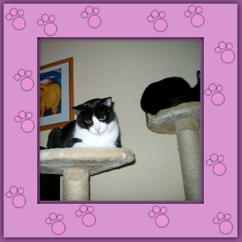 Yaki & Ramon