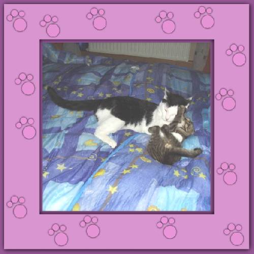 Gismo mit Pflegkind Samson