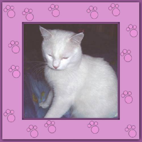 Yuki