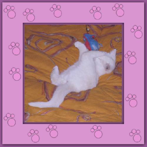 Yuki