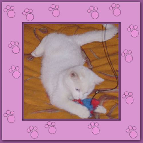 Yuki