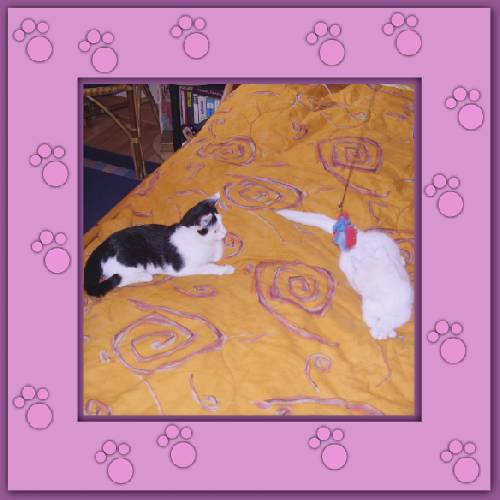 Yuki & Gismo