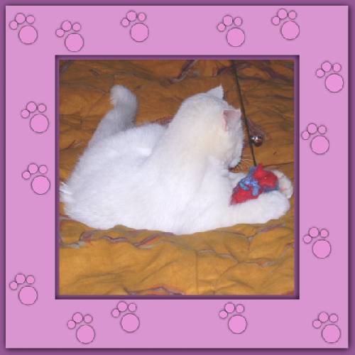Yuki