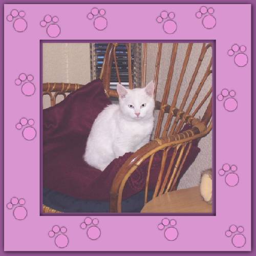 Yuki