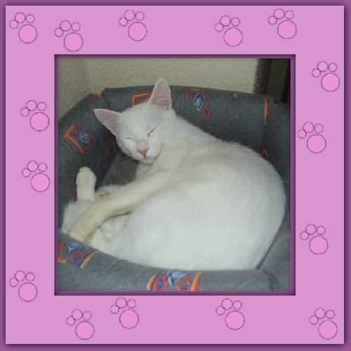 Yuki