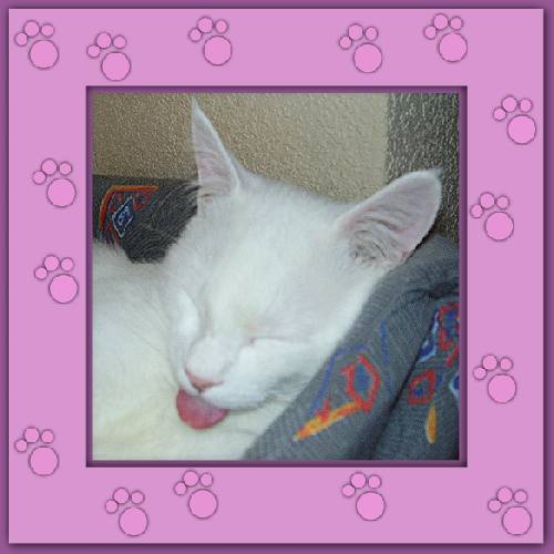 Yuki