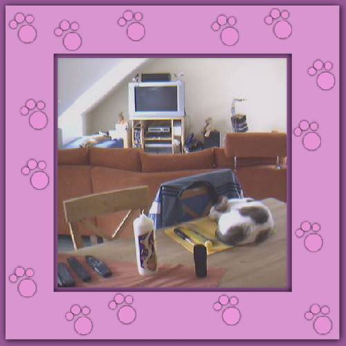 Willi & Wiski